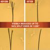 Garnier Whole Blends Honey Treasures Repairing Conditioner 2 Count Pack