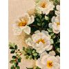 RIOLIS Cross Stitch Kit - 1351 - White Briar