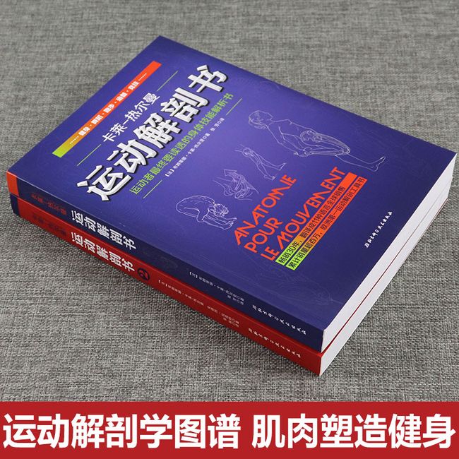 运动解剖书1+2 运动者受益一生的身体技能训练书+运动者总要读透的身体技能解析书 卡莱-热尔曼 运动解剖学图谱 肌肉塑造健身