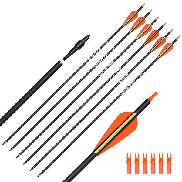 Carbon Arrow Hunting Arrows with 100 Grain Tip and Removable Tips for Archery Compound & Recurve & Traditional Bow Practice Shooting Targeting