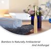 Travel Toothbrush Bamboo Toothbrushes Case Holder Kit Folding Toothbrush Portable Soft Bristle Adult Eco Friendly Natural toothbrush With Bamboo Handle Cover for Home School Business Travel Camping