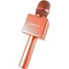 Gigastone Bluetooth V5.0 Karaoke Microphone Wireless Portable Handheld Speaker