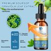 (2 Pack) Soursop Graviola Leaf Extract Liquid Drop Plus Pure Botanical Sea Moss