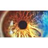 VISION VITAMINS - Digital Eye Defense - Screen Time Protection 1B