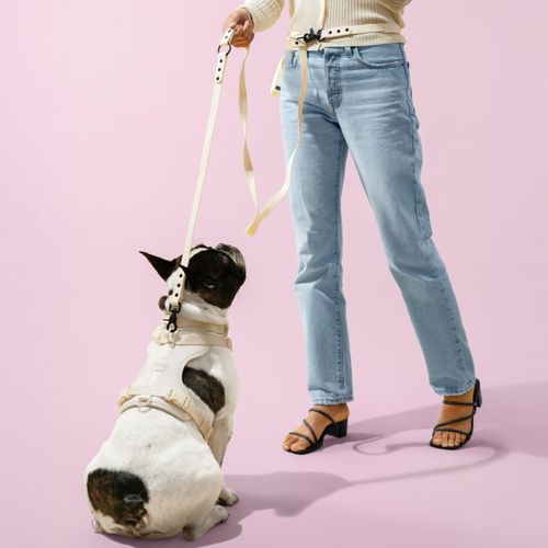 THE LICKER STORE HNS1002L Arlo Medium Adjustable Soft Padded No Pull Pet Harness with 3 Buckles and 3 Leash Clips, Bailey
