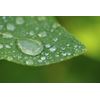 Canon EOS M3 10x High Definition 2 Element Close-Up (Macro) Lens (82mm)