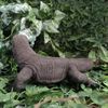 Vivid Arts - Komodo Dragon - PP-KOMO-F