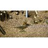Frankford Arsenal Quick-N-EZ Vibratory Case Tumbler with Clear Viewing Lid and Durable Construction for Reloading, Cleaning and Dry Tumbling Brass Cases