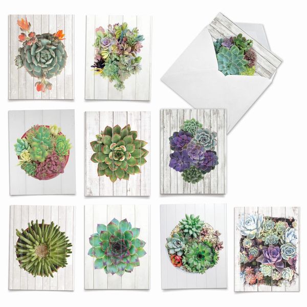 The Best Card Company - 10 Blank Note Cards with Envelopes (4 x 5.12 Inch) - Bulk All Occasion Cards Boxed - Shiplap Succulents AM6438OCB-B1x10