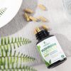 Mushroom Supplement - 10 Mushroom Complex - Lions Mane, Reishi, Turkey Tail, Chaga, Cordyceps, Shiitake, & Maitake - Nootropic Brain Supplement, Memory, Focus, & Imumune Health Support - 60 Capsules