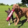 KONG Signature Stick Dog Toy, Medium