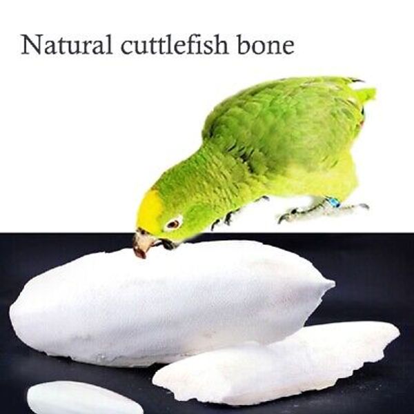 1 Bag Cuttlebone Cuttlefish Sepia Bone Cuttle Fish Bird Food Calcium Pet NEW