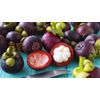 Premium Antioxidant Defense - MANGOSTEEN COMPLEX - 1B 60 Caps
