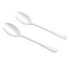 Kitchen Essentials 2 Piece Stainless Steel Salad Dessert Pasta Serving Spoon (Colour: Silver)