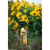 Sawyer Products SP649 Premium Permethrin Clothing Insect Repellent Trigger Spray, 12-Ounce