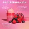 Epished Lip Sleeping Mask EX [Berry]