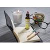 Bach Original Flower Remedy Chestnut Bud 20 ml