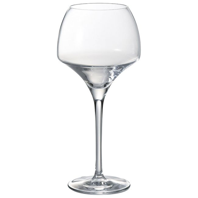 Chef & somurie Open Snap Glasses tanikku 55 g5000021