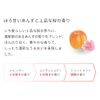 Ichikai Dense W Moisturizing Care Conditioner Pump, 16.9 oz (480 g), Hair Care, Damage Care, Sulfate Free