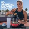 Optimum Nutrition Gold Standard 100% Whey Protein Powder, Vanilla Ice Cream, 2 Pound (Packaging May Vary)