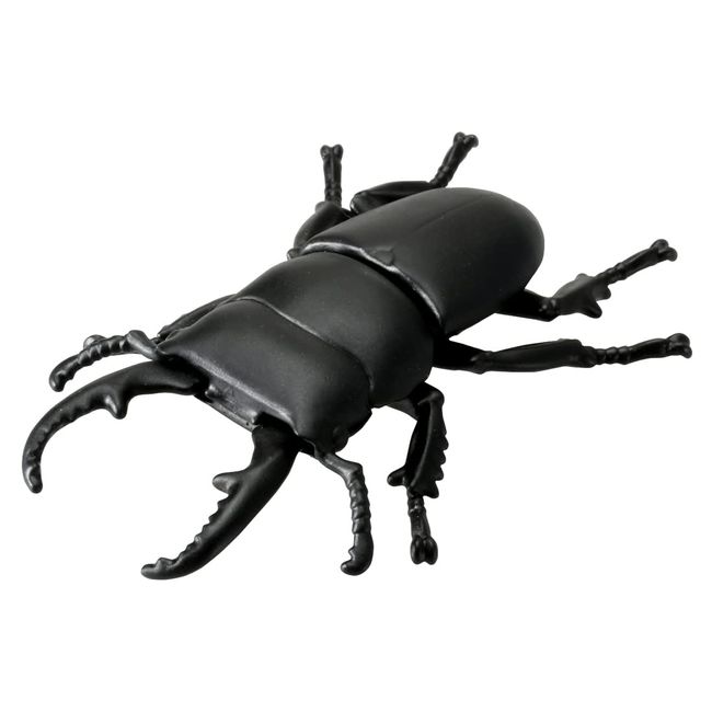 TAKARA TOMY Ania AS-41 Oyster Stag Insect Toy, For Ages 3 and Up