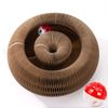 CusieryMax Cat Ball Adventure The Ultimate Interactive Mental & Physical Exercise for Indoor Cats