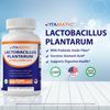 Vitamatic Lactobacillus Plantarum - 20 Billion per DR Capsule - 60 Count