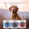 Dignity Canine Multi Soft Chews - 60 Count | Dog Wellness Supplement | All Breed