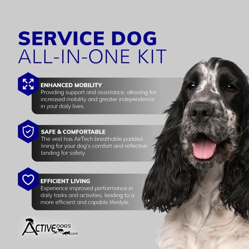 ActiveDogs Full Service Dog Kit - Medium Blue - Service Vest Harness with Handle, ID Holder, ADA Cards, Medical Alert Keychain, Leash & Patches