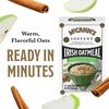 McCann’s Instant Irish Oatmeal, Apples & Cinnamon, 10 Packets