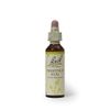 Bach Original Flower Remedy Chestnut Bud 20 ml