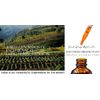 Longevity Legend: Ancient Herbs Renowned for Longevity - Raw-Fresh-Organic Herbs