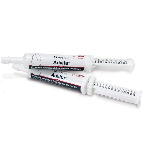 VetOne Advita Probiotic Nutritional Supplement Paste for Horses 30gm