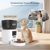 Smart pet feeder with video communication