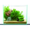 Gex Small Japanese Garden Earthen Pot, M
