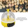 Mini Egg Hatching Machine, Temperature Control Digital Incubators, 4 Eggs Light Quilling Machine for Poultry Eggs Poultry Hatching Machine for Chickens Ducks Doves (Manual