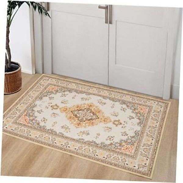 Small Rugs for Entryway, Front Door Mats Indoor Entrance 2 X 3 Feet Beige