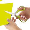 smart by Leviatan 3D Scissors 3D175