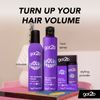 Got2b Powder'ful Volume Styling 1 Pack (1 x 10 g)