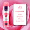 ABOVE Candy - 48 Hours Antiperspirant Deodorant for Women - Notes of Lime, Tangerine and Apricot - Dry Spray Protects Against Sweat and Body Odor - Stain and Cruelty Free - 3.17 oz