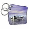 Key Chains Fish Bones features digital fish skeleton resting in shallow ocean waters (kc-19944-3)