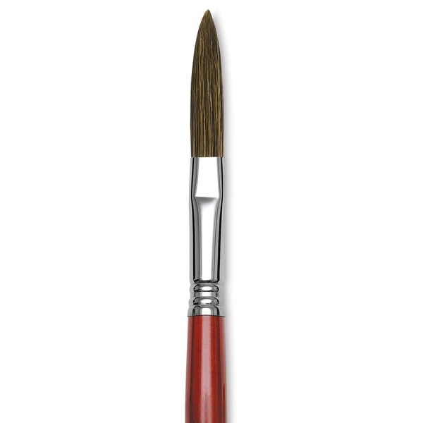 Escoda Light Ox Hair Script/Liner Brush - Filbert, Size 16