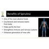 candida complex - ANTI-PARASITE – SPIRULINA COMBO 2B - black walnut hull powder