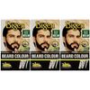 3 x Bigen Men's Beard Colour | No Ammonia Formula with Aloe Extract & Olive Oil | Covers Gray Hair, Leaves No Stains, Long-Lasting Results | 102 Brown Black