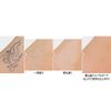 EPORASHE Magical Sealer (Concealer SPF35)
