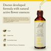 Bach Original Flower Remedies, Gorse - Have Hope - Natural Homeopathic Flower Essence for Emotional Balance - Vegan, Gluten Free, Sugar Free - 20mL Dropper