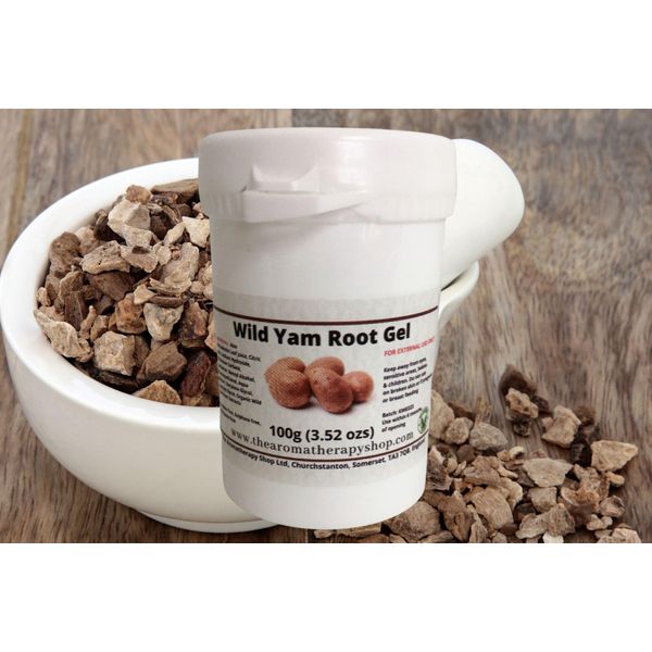 Wild Yam Gel 100g / A natural skin care gel with organic wild yam root & aloe extracts