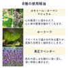 Aroma Diffuser for Sleeping (Magic of Nemuri) (Ecru, Body Set)