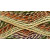 King Cole Explorer Super Chunky 100g (4297 Livingstone)