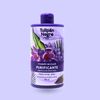 Tulipan Negro Purifying Micellar Shampoo With Mint extract And Eucalyptus 13,50